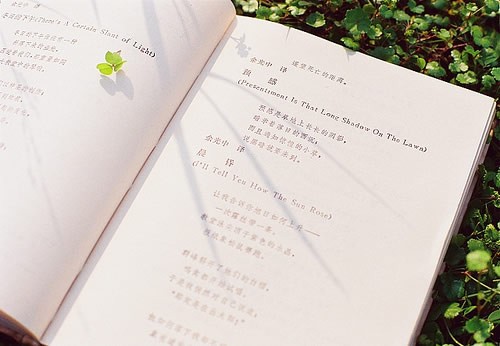 2020年重庆成人高考考试时间在什么时候?