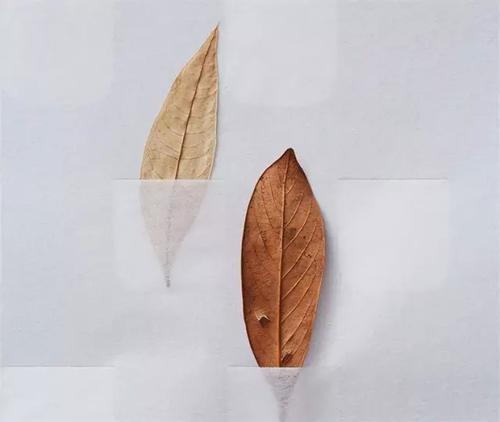重庆成人高考入学考什么科目?