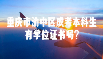 重庆市渝中区成考本科生有学位证书吗?