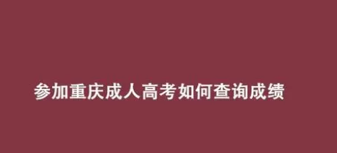 参加重庆成人高考怎么查询自己的成绩？